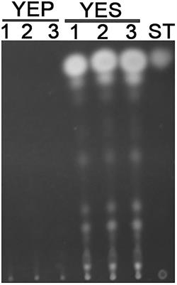 Exploration of the Regulatory Mechanism of Secondary Metabolism by Comparative Transcriptomics in Aspergillus flavus